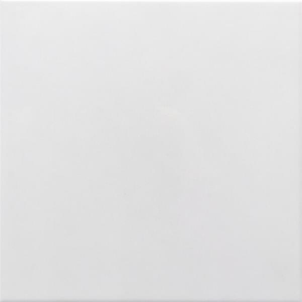 Grote foto steenbok wand 18900 white glossy 13x13cm doe het zelf en verbouw tegels