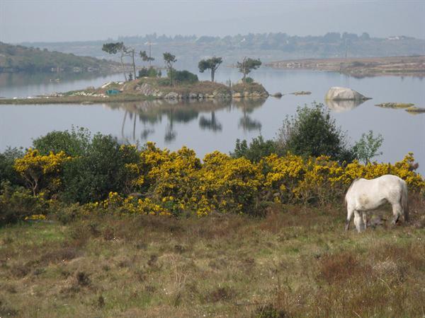 Grote foto ierland ontdekken met een camper vakantie campervakanties