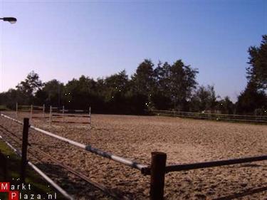 Grote foto stalling weidegang in friesland drogeham dieren en toebehoren stalling en weidegang