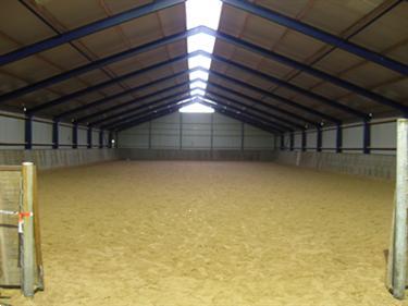 Grote foto stalling weidegang in friesland drogeham dieren en toebehoren stalling en weidegang