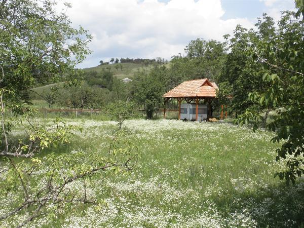 Grote foto actieve vakantie hongarije vakantie hongarije