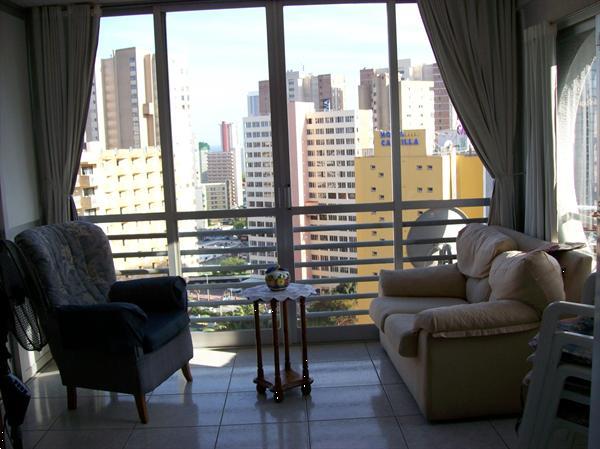 Grote foto benidorm te huur appartement vakantie spaanse kust