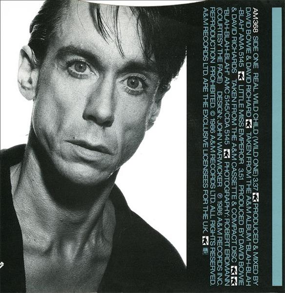 Grote foto iggy pop real wild child wild one muziek en instrumenten platen elpees singles