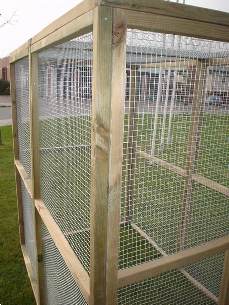 Grote foto kattenren dieren en toebehoren overige dierverblijven