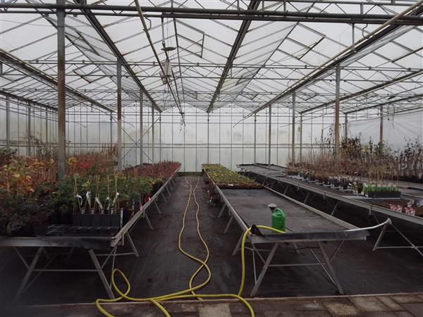 Grote foto gezocht kasruimte locatie voor tuinplanten agrarisch tuinbouw