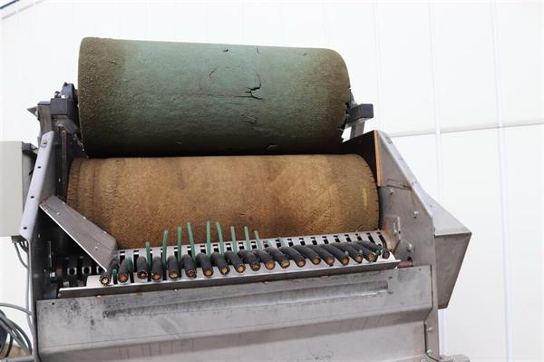 Grote foto van der poel bloembollenpelmachine agrarisch tuinbouw