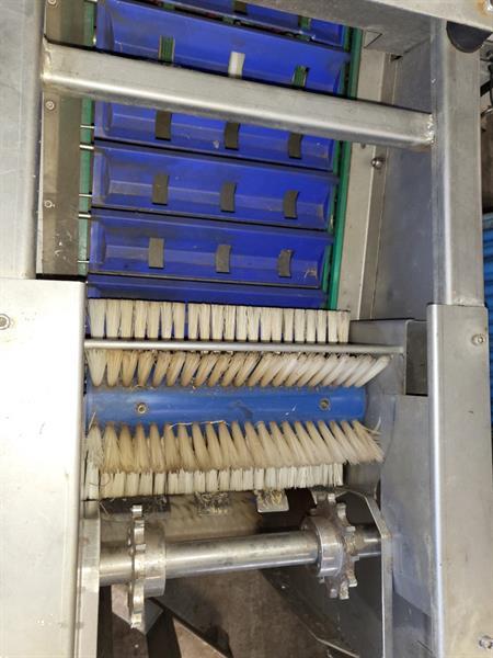 Grote foto hermeler ats 18 aspergesorteerder met wasser voor witte asperges agrarisch tuinbouw