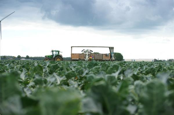 Grote foto nieuwe aluminium oogstband agrarisch oogstmachines