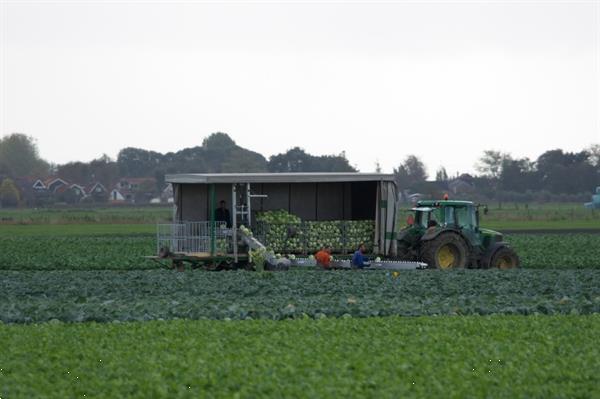 Grote foto nieuwe aluminium oogstband agrarisch oogstmachines