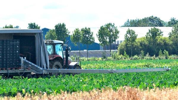 Grote foto nieuwe aluminium oogstband agrarisch oogstmachines