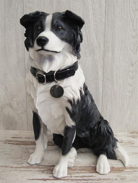 Grote foto border collie duitse herder golden retriever. dieren en toebehoren overige honden