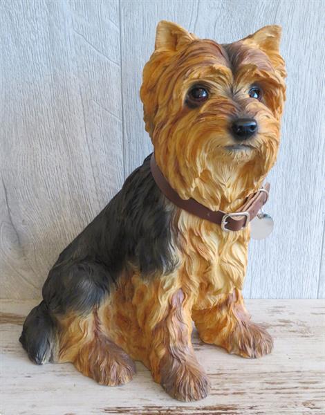 Grote foto border collie duitse herder golden retriever. dieren en toebehoren overige honden