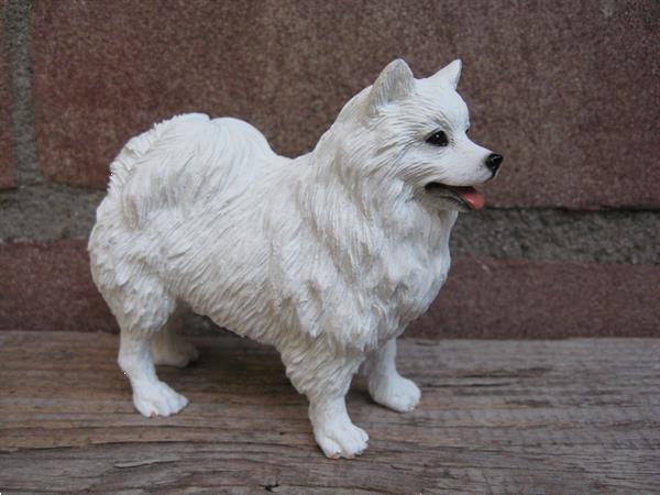 Grote foto border collie duitse herder golden retriever. dieren en toebehoren overige honden