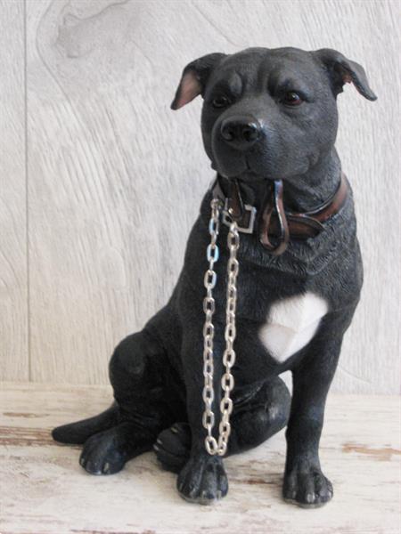 Grote foto border collie duitse herder golden retriever. dieren en toebehoren overige honden