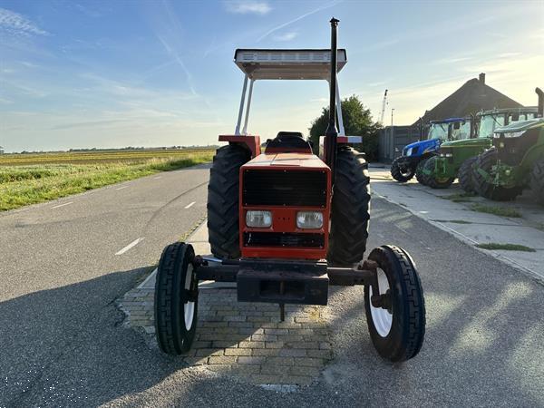 Grote foto fiat 70 66 agrarisch tractoren