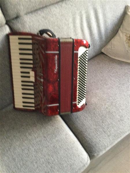 Grote foto accordion 120 bassen muziek en instrumenten accordeons