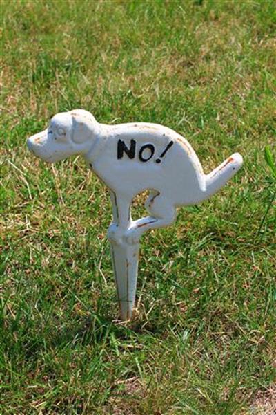 Grote foto verboden honden te laten plassen bordje. tuin en terras overige tuin en terras