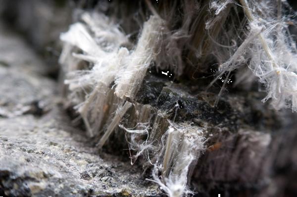 Grote foto asbest verwijderen doe het zelf en verbouw overige doe het zelf en verbouw