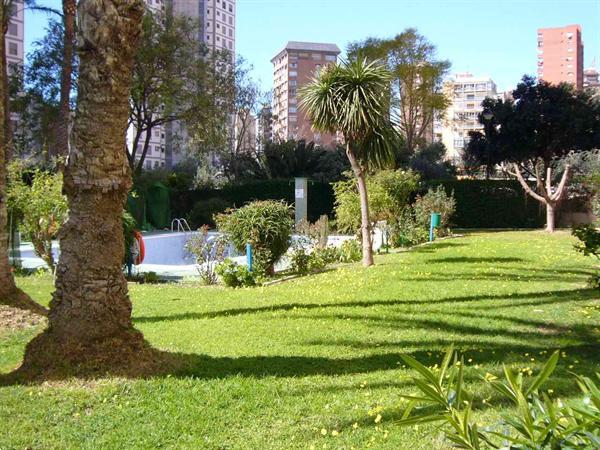 Grote foto benidorm edificio alhambra playa levante vakantie spaanse kust