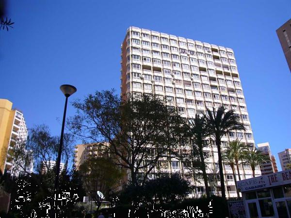 Grote foto benidorm edificio alhambra playa levante vakantie spaanse kust