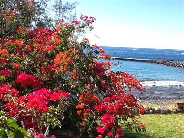 Grote foto last minute tenerife app. playa de las americas vakantie spanje