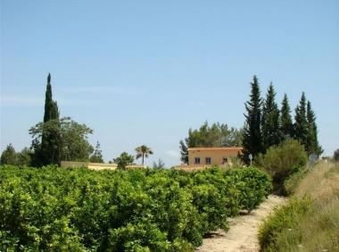 Grote foto vakantiewoningen in spanje valencia vakantie spanje