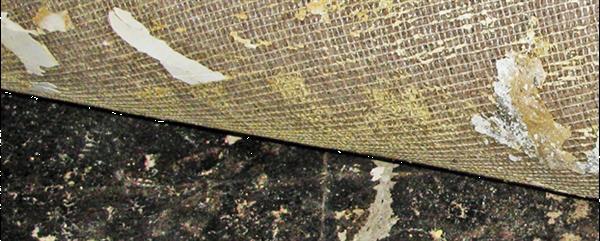 Grote foto asbest verwijderen asbestinventarisatie doe het zelf en verbouw overige doe het zelf en verbouw