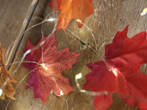 Grote foto blad zijde herfstblad maple leaf esdoornblad 20st blad zijde blaad mix om bv zelf lichtstreng te ma verzamelen overige verzamelingen