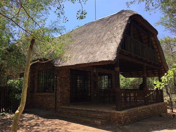 Grote foto zuid afrika vakantiehuis te huur bij kruger park vakantie afrika