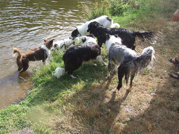 Grote foto sfeervol kamperen met veel genieten caravans en kamperen campings