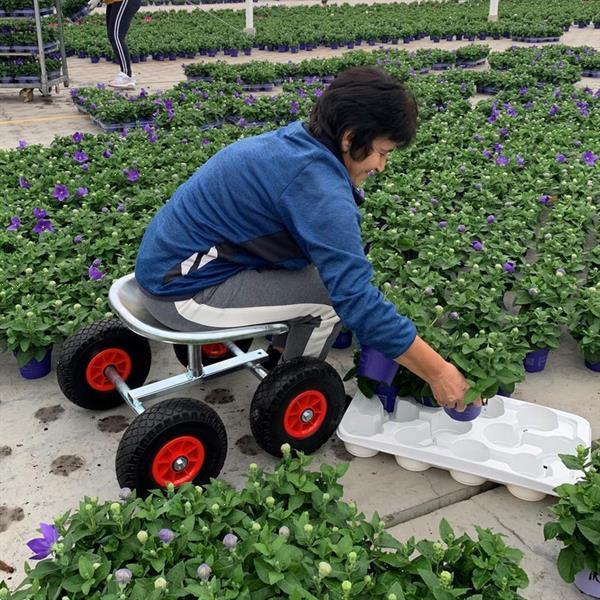Grote foto zitwagen met luchtbanden agrarisch tuinbouw