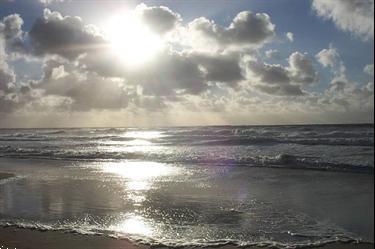 Grote foto zelfdoding nee diversen overige