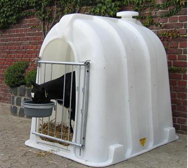 Grote foto kalverhut iglo laagste prijs 1e kwaliteit dieren en toebehoren veeverblijven
