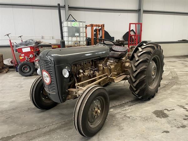 Grote foto massey ferguson goudbuik agrarisch tractoren oldtimers