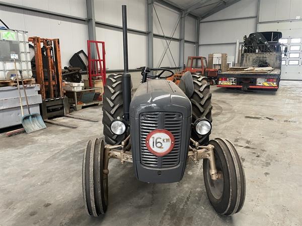 Grote foto massey ferguson goudbuik agrarisch tractoren oldtimers