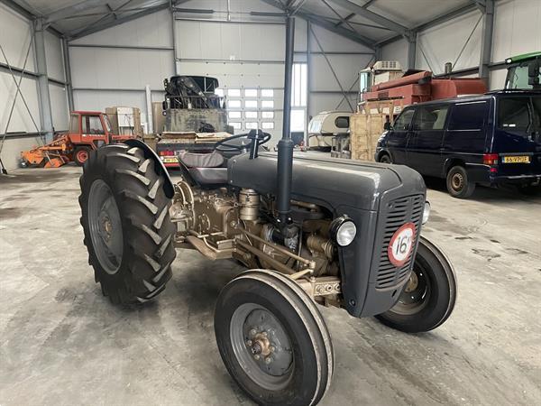 Grote foto massey ferguson goudbuik agrarisch tractoren oldtimers