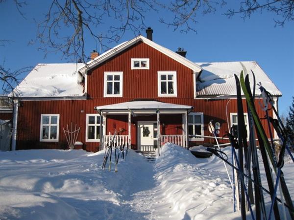 Grote foto schaatsen wintervakantie in zweden vakantie europa noord