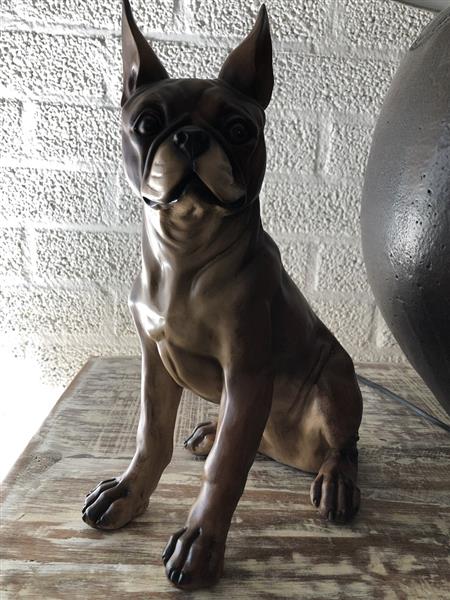 Grote foto franse bulldog model craftwood bruin zittend. laatste tuin en terras tuindecoratie