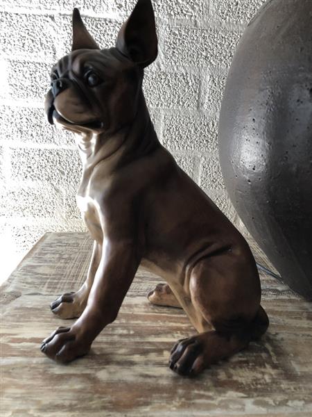 Grote foto franse bulldog model craftwood bruin zittend. laatste tuin en terras tuindecoratie